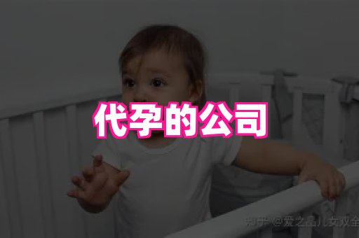 无锡助孕网 1